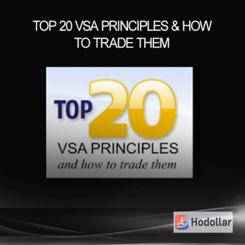 Top 20 VSA Principles & How to Trade Them