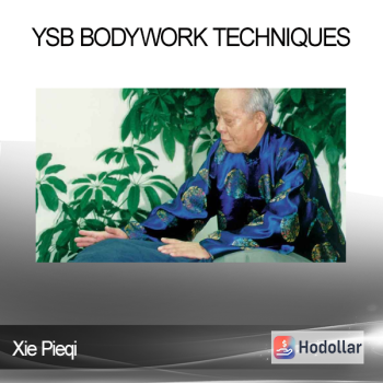 Xie Pieqi - YSB Bodywork Techniques