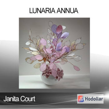 Janita Court - Lunaria Annua